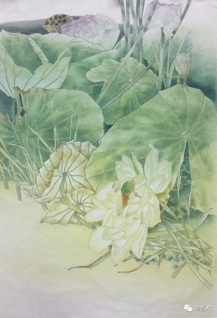 张丽萍专访视频,张丽萍音乐教学