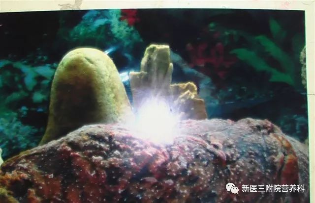 灵芝真的是智商税嘛,灵芝真的是越久越好吗