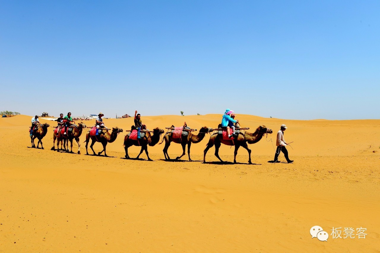 金姐吐槽一针见血,金姐一针见血完整视频