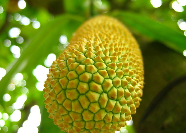 孕妈稍微吃点东西肚子胀的原因,孕妇肚子疼可以吃点儿什么