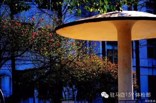 驻马店159是私人医院吗,驻马店159医院为啥改名