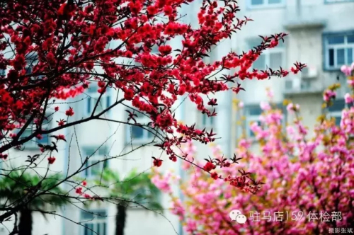 驻马店159是私人医院吗,驻马店159医院为啥改名