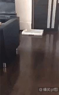 怎么不让别人蹭到我家wifi,不让别人蹭我家wifi后怎么拉回来