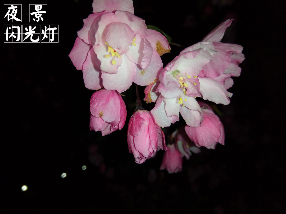 4在必得：360手机F4全体验