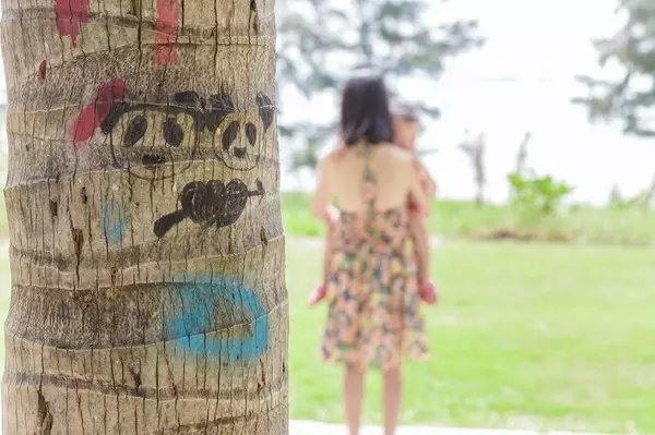 五天四晚亲子三亚游,许你一片碧海蓝天小说