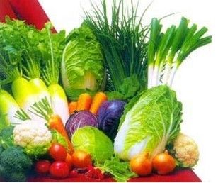 风湿性关节炎发生晨僵的护理措施,狗风湿性关节炎日常护理