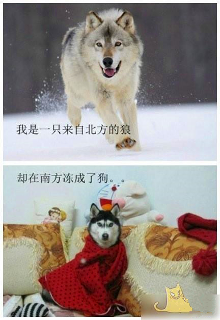 在合肥生活的感悟,在合肥生活的神奇体验