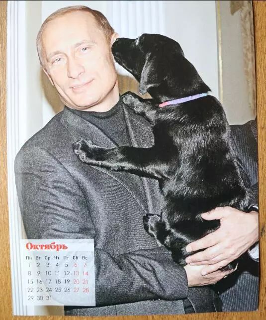 普京日历,普京和狗狗温馨图片
