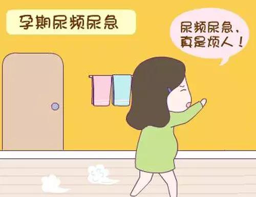孕期失眠尿频睡不着,孕期胎盘低会尿频吗