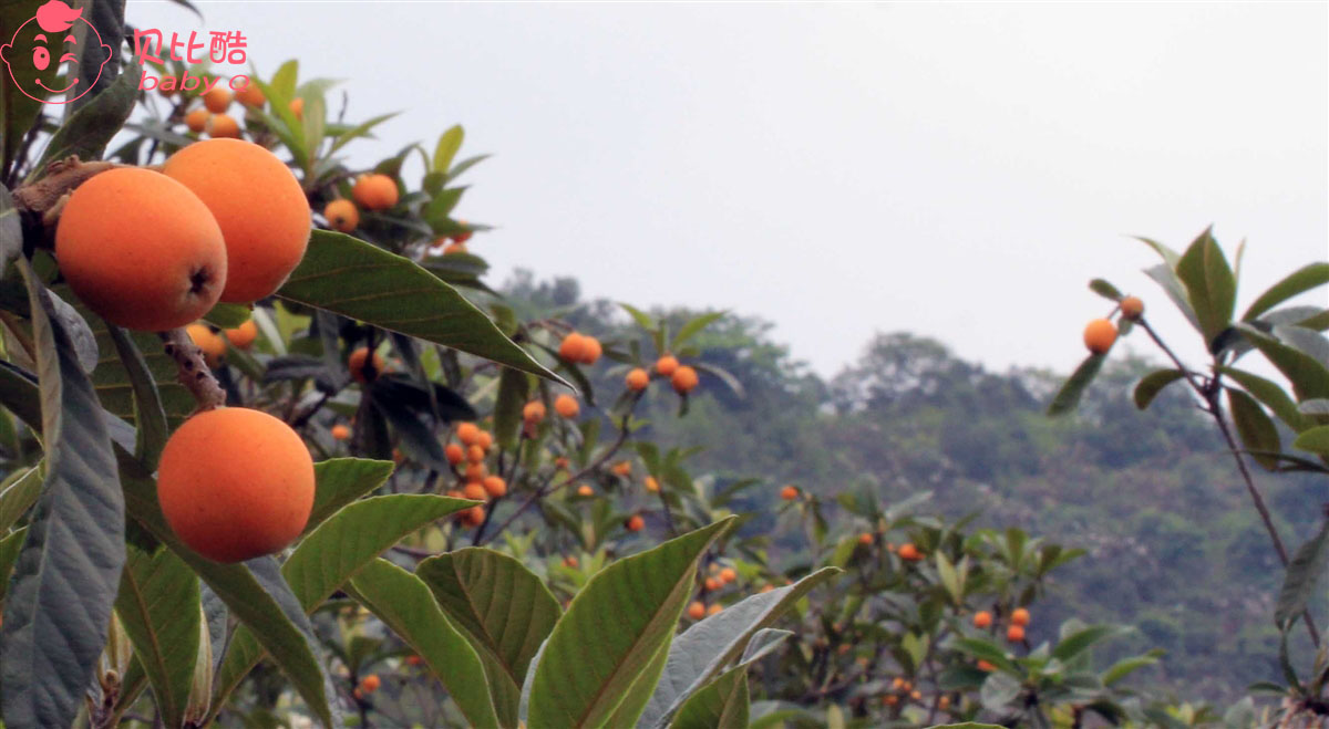 想咳嗽好吃什么,想要宝宝消化好吃什么