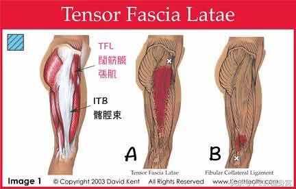骨科医生跑步怎么选护膝,跑步腿疼康复训练方法