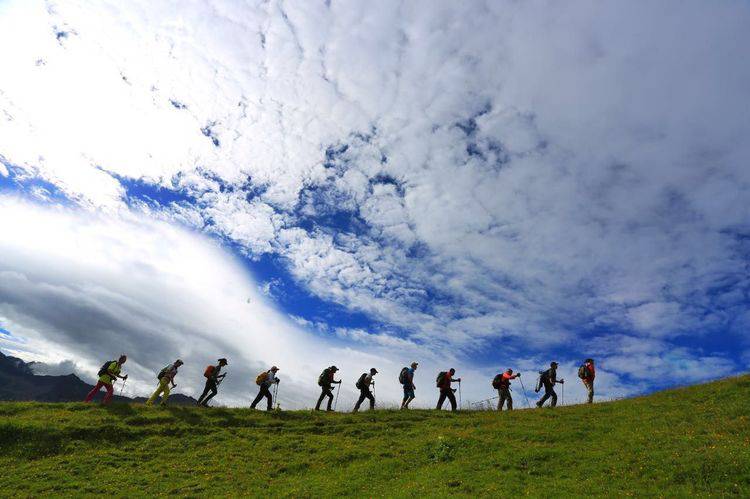 丁振东简介,南充市嘉陵区丁振东