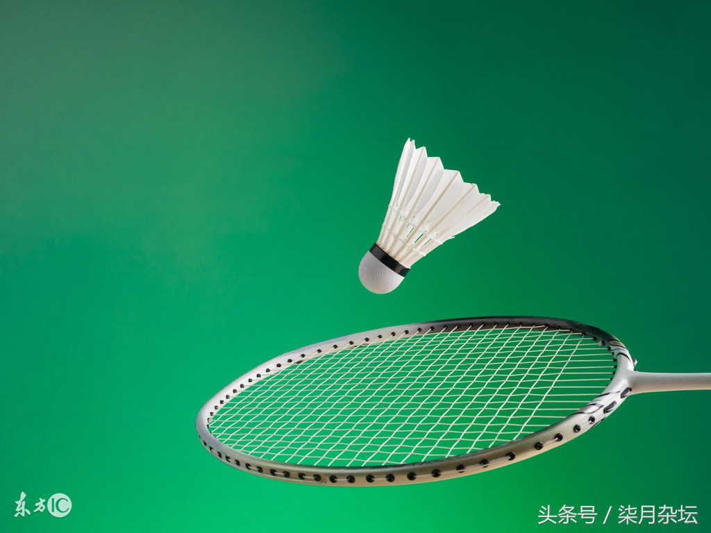 羽毛球运动教学与训练教程,羽毛球课动作展示