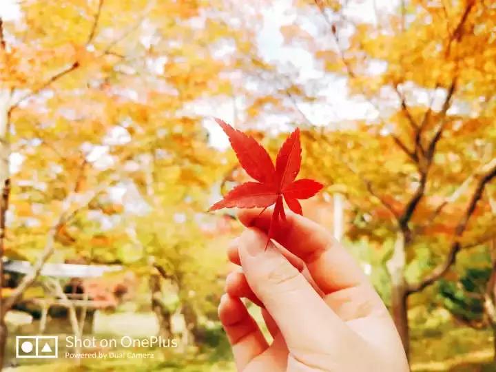 干货可以做不,干货主播好不好干