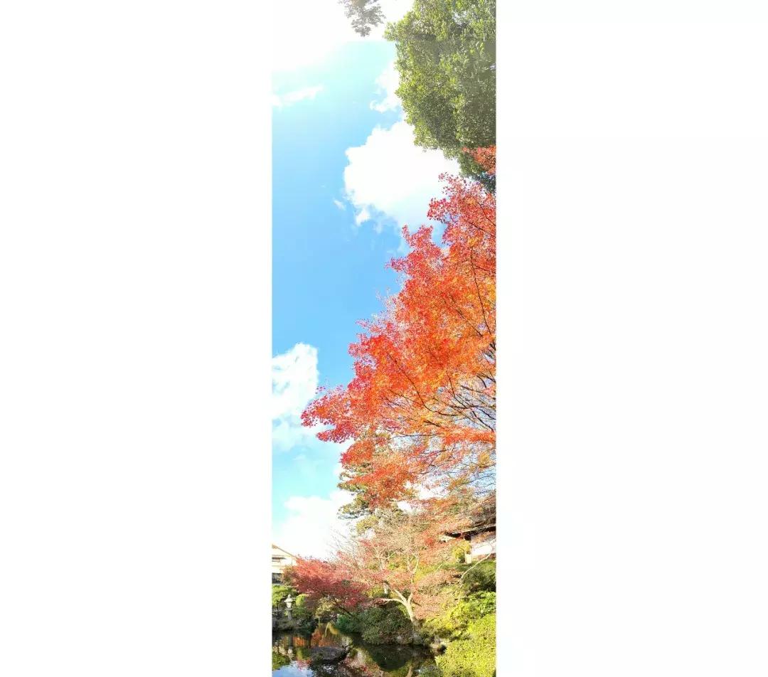 干货可以做不,干货主播好不好干