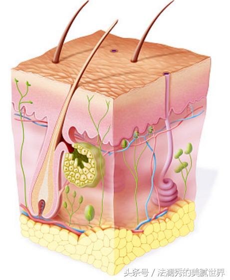 医美如何祛痘坑和痘印,医美护肤小知识问答祛痘