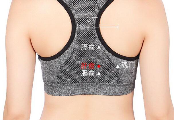 宫寒不孕吃艾附暖宫丸吃多久,宫寒的不孕症状