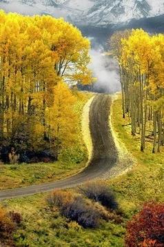 原创小短文写作技巧,原创短文治愈