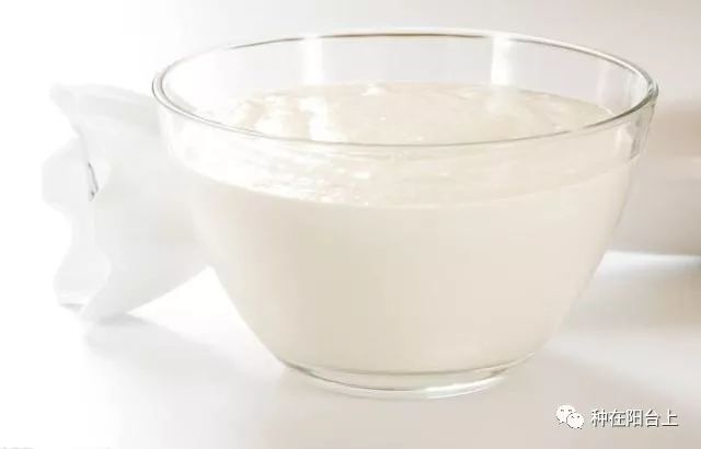 阳台的蔬菜长腻虫怎么办,盆栽蔬菜长虫了怎么办