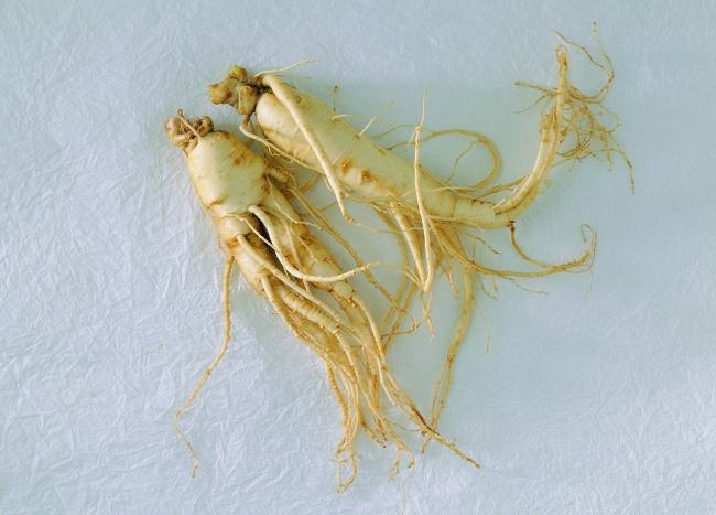 人参最简单有什么用途,关于人参你应该知道的哪些知识