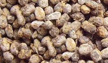 小儿发烧感冒了正确的处理方法,小儿胃肠感冒发烧怎么办