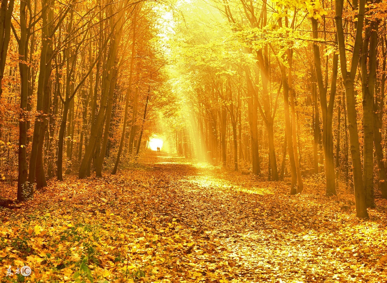 言情小说推荐男女双腹黑,爱恨情仇言情小说推荐