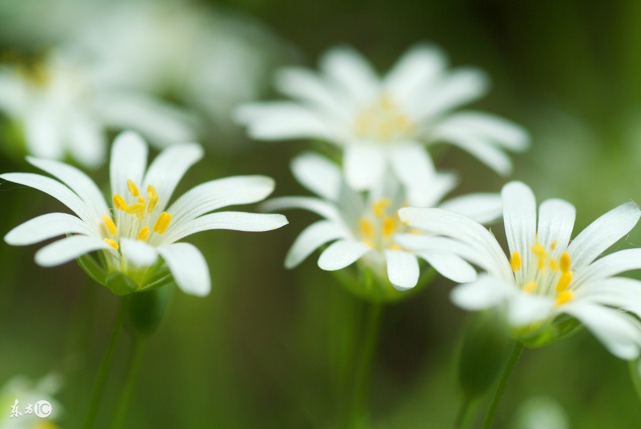 言情小说推荐男女双腹黑,爱恨情仇言情小说推荐