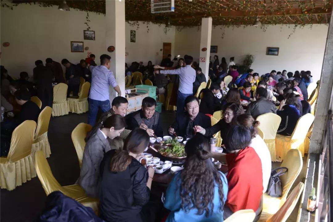 龙润茶加盟官网,龙润茶加盟视频