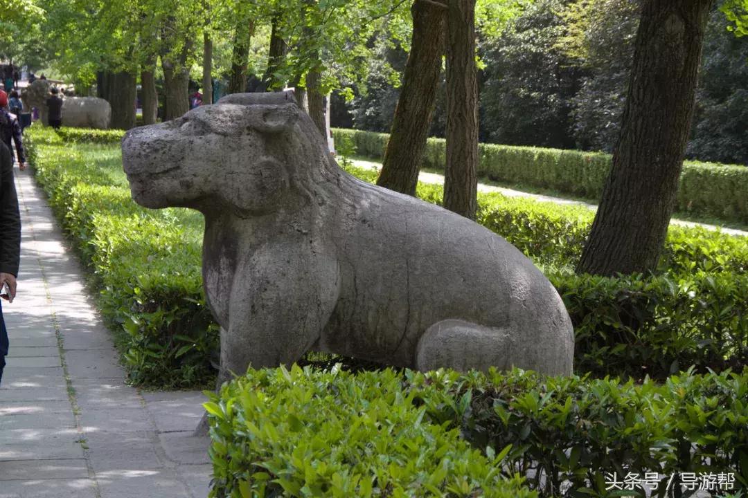 南京明孝陵600岁神道,南京明孝陵讲解视频完整版