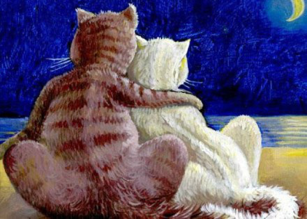 辟谣！平胸的妹子们听我说：别看你胸小，你智商可能还低！哈哈哈