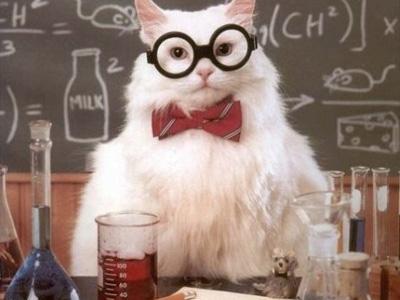 辟谣！平胸的妹子们听我说：别看你胸小，你智商可能还低！哈哈哈