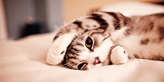 陈奕迅微博语录背景图,殷世航微博朋友圈背景图