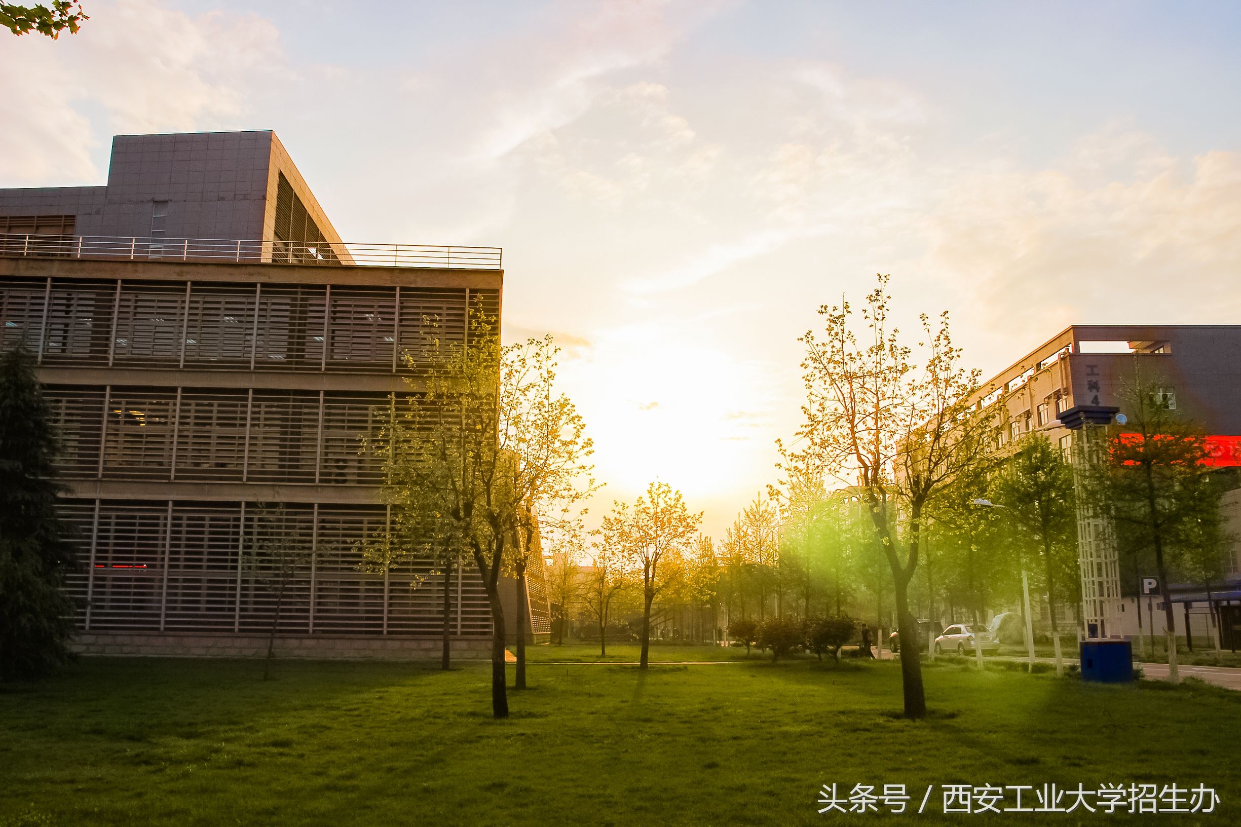 陕西重点建设高水平大学,陕西省高水平专业大学