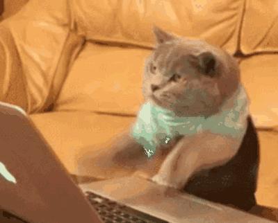 英魂之刃口袋版全新玩法,英魂之刃口袋版玩法思路