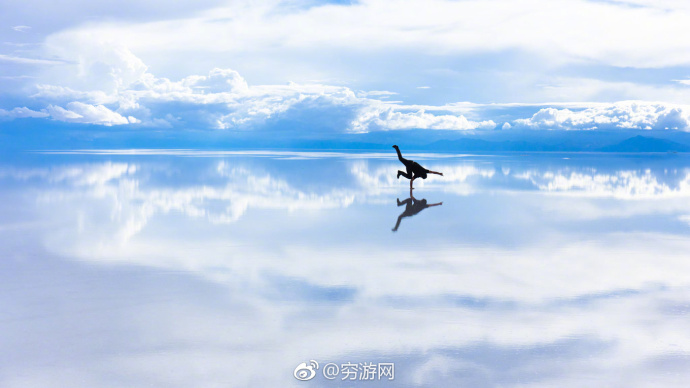 玻利维亚申请墨西哥签证,办理玻利维亚旅游签证