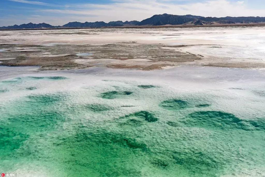 科达洁能股票走势分析,科达洁能最新十大股东情况