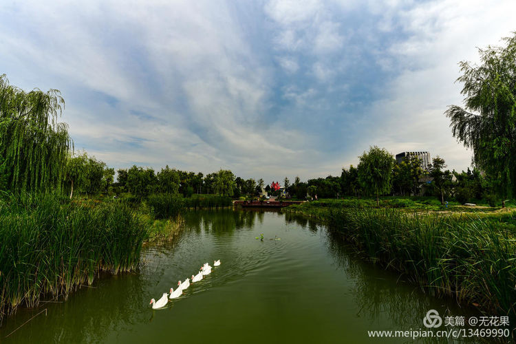 鹤壁淇河风光,鹤壁淇河夜景真实照片