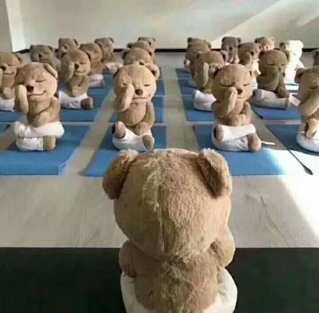 瑜伽生活简单清静,在家练瑜伽什么瑜伽比较好