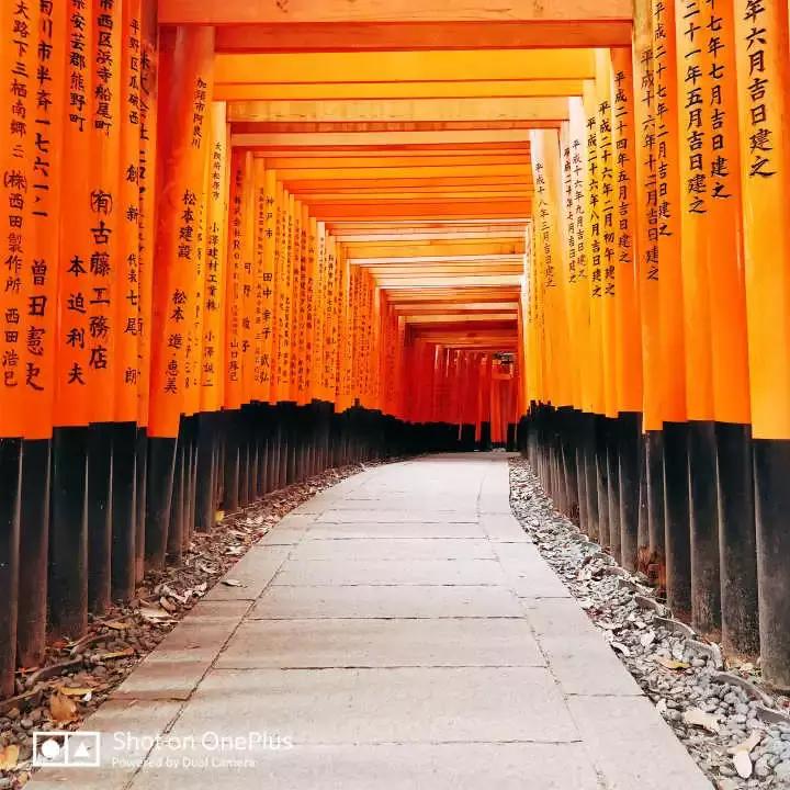 干货可以做不,干货主播好不好干