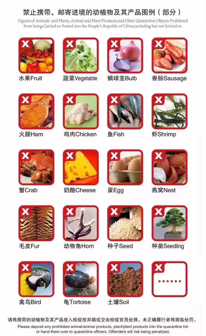 海关留学生回国最新政策,留学生入境海关关注事项