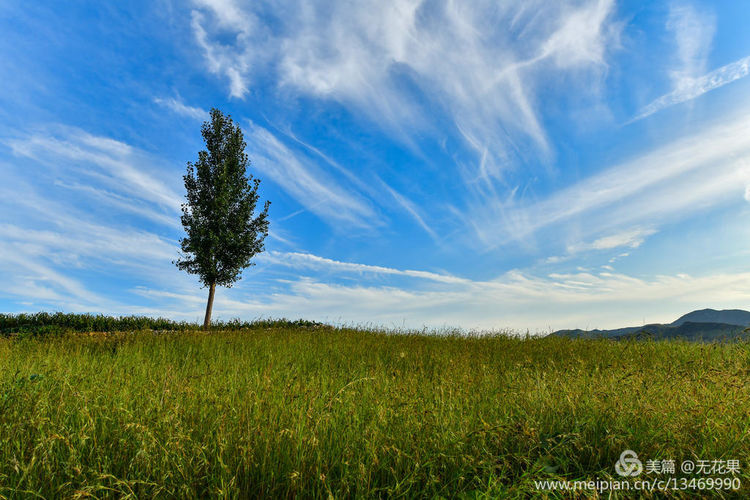 鹤壁淇河风光,鹤壁淇河夜景真实照片