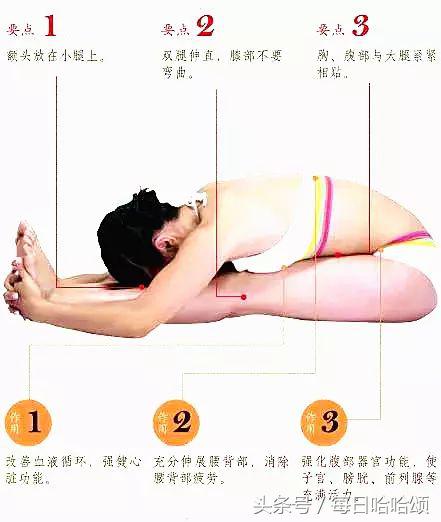 每日拉筋专门瘦肚子练腰,女士练什么器械能瘦腰