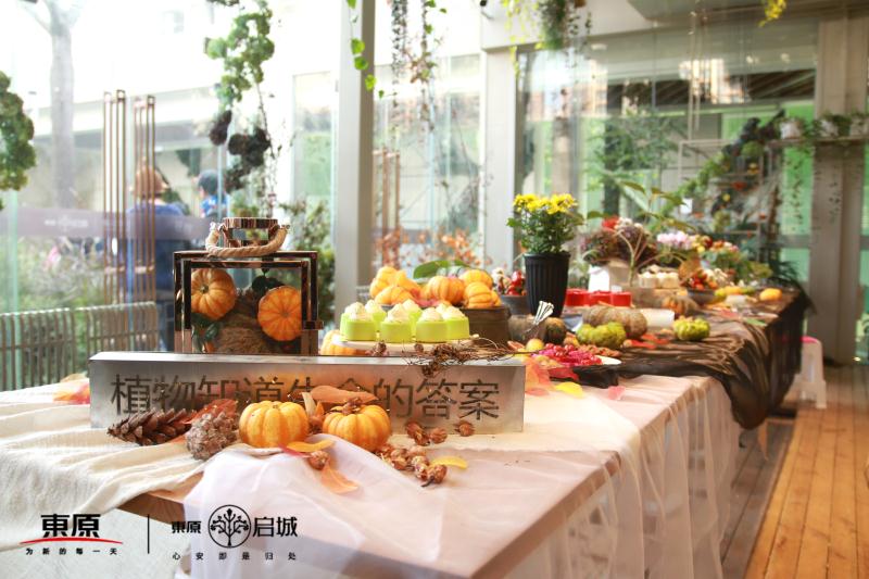 如何做好社区运营卖课,干货分享如何运营