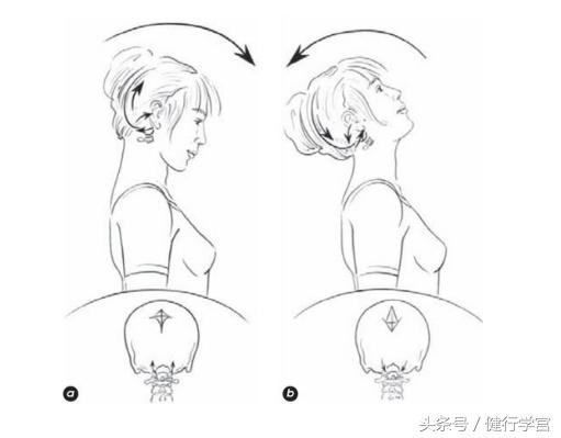 颈椎病的康复治疗手法,颈椎病用圆枕能康复吗