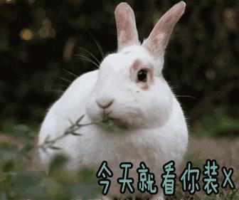 医美如何祛痘坑和痘印,医美护肤小知识问答祛痘