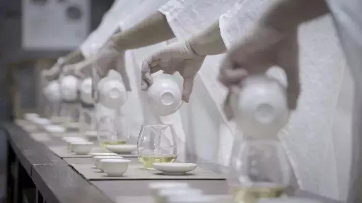 特别美的茶艺,大美茶艺师