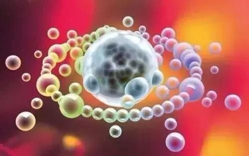 肺癌靶向治疗好还是射频消融好,肺癌靶向治疗与免疫治疗哪个更好