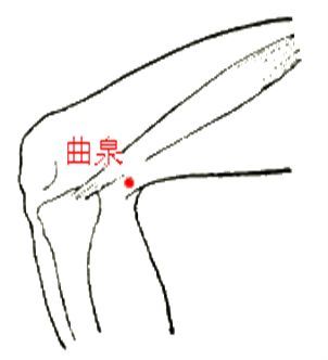 倪海厦治阴痒穴位,阴痒有什么特效药