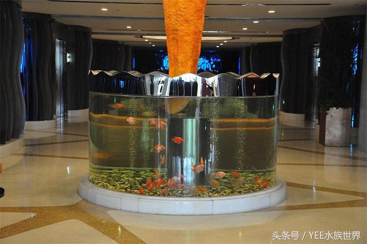 亚克力鱼缸的透光度是多少,亚克力鱼缸和玻璃哪个好