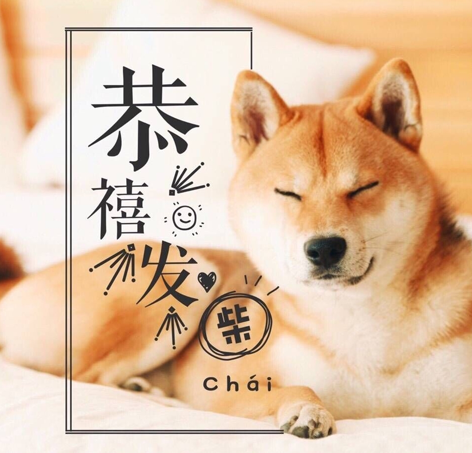 南宁梦之岛打折视频,梦之岛商品打折